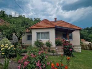 a small house with flowers in the yard at Seosko domaćinstvo Rada in Papratište