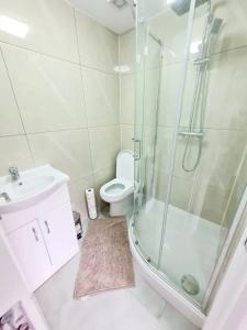 a bathroom with a shower and a toilet and a sink at Comfortable 2 Bed Apartment- Pass the Keys in Basildon