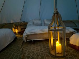 a room with a tent with a bed and a light at Boscastle Bell Tents in Boscastle