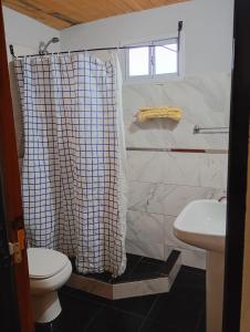 a bathroom with a toilet and a shower curtain at Corazón Contento in Villa Pehuenia