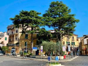 a tree in front of a building on a street at L'Antica Caiatia in Caiazzo