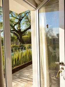a sliding glass door with a view of a tree at Complejo GOOD LIFE in Miramar +5 photos