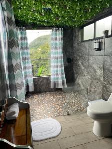 a bathroom with a shower and a toilet and a window at Ecoesferas Glamping in La Ese +28 photos