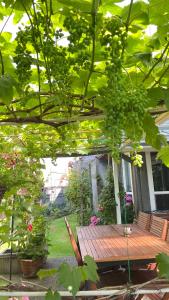 a picnic table in a garden with a bunch of grapes at Warm home in Richmond +10 photos
