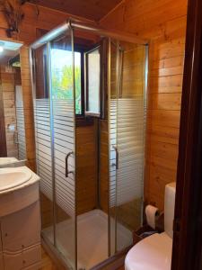 a shower in a bathroom with a toilet and a sink at Apartamento El Paso in Fuentelisendo +21 photos