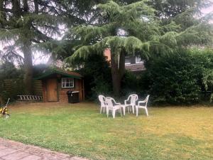 a group of chairs sitting in a yard with a tree at Only Lady Kaarst in Kaarst