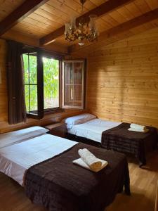 two beds in a room with wooden walls and windows at Apartamento El Paso in Fuentelisendo