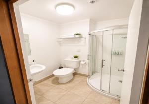 a bathroom with a toilet and a glass shower at The Grand Wanganui in Whanganui +19 photos