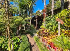 a garden with many plants and a pathway at Bali Haven in Coromandel Town