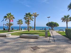 a park with palm trees and the ocean in the background at HouseLuz in Armação de Pêra