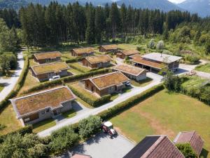 an aerial view of a row of houses with roofs at Trebas 51 in Lake Pressegg