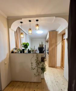 a room with a kitchen with a counter with potted plants at Qristi's Guest House in Kashveti +13 photos