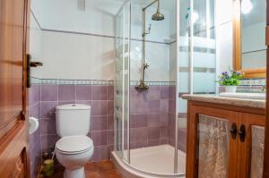 un baño con inodoro y ducha en Casa Rural Rosa, en Cabanes