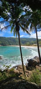 a beach with two palm trees and the ocean at recanto Provetá 1 ILHA GRANDE in Praia de Provetá 