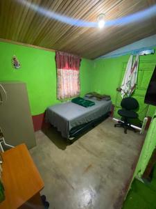 a bedroom with green walls and a bed and a desk at Casa cerca de IRTRA in San Martín Zapotitlán