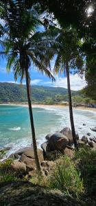 a beach with two palm trees and the ocean at recanto provetá ILHA GRANDE in Praia de Provetá 
