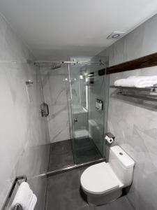 a bathroom with a toilet and a glass shower at Alpacaterra Machupichu Hotel in Machu Picchu