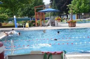 eine Gruppe von Personen, die in einem Schwimmbad schwimmen in der Unterkunft Sorgerhof in Frauental an der Lassnitz 