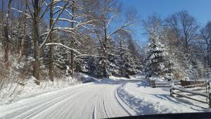 uma estrada coberta de neve com uma cerca e uma árvore de Natal em Potoczek 19 em Międzylesie