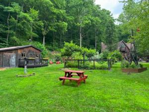 a picnic table in the middle of a green yard at The Renovated Barn at Seneca Rocks in Seneca Rocks