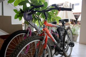 Jízda na kole v ubytování Hospedaje Dulce Estancia nebo okolí