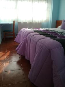 Posteľ alebo postele v izbe v ubytovaní Hostal Campus