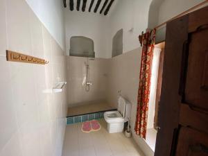 a small bathroom with a toilet and a shower at Tonys homestay in Zanzibar City
