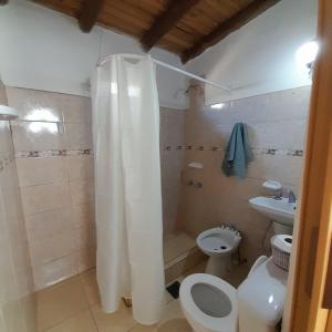 a bathroom with a shower and a toilet and a sink at "Alojamiento en Uspallata" para hasta 6 personas in Uspallata +10 photos
