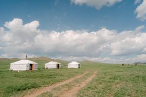 two white tents in the middle of a field at Nomad Equestrian Stable in Dzuunmod