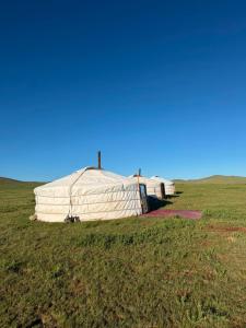 a couple of tents sitting in a field at Nomad Equestrian Stable in Dzuunmod