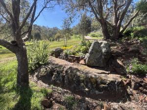 a rock garden with trees and flowers in a field at Riverfront, Tiny Home in Natural Bush in Bridgetown