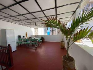 a room with a table and a potted plant at Tonys homestay in Zanzibar City