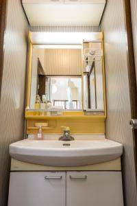 a bathroom with a sink and a mirror at Mikansei Stay in Higashi-murayama +16 photos