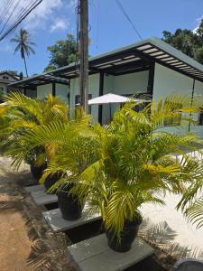 a row of potted plants inront of a building at Tiffany Villa 2 in Ko Phangan