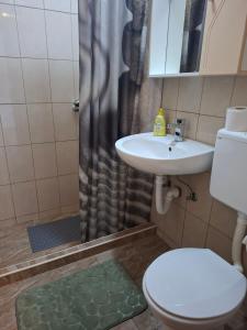 a bathroom with a sink and a toilet and a shower at Sandra Apartmani 1 in Zaostrog +22 photos