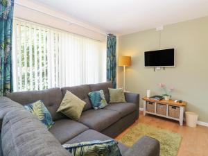 a living room with a couch and a flat screen tv at 14 The Dell in Norwich