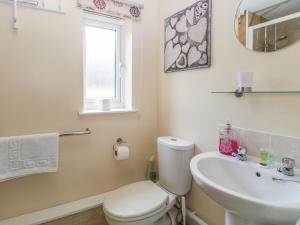 a bathroom with a toilet and a sink at 14 The Dell in Norwich +19 photos