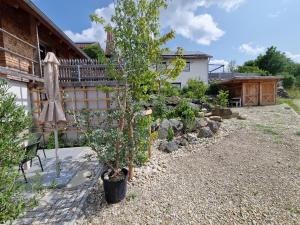 a garden with a small tree and a umbrella at Chalet Buron 7 in Kaufbeuren