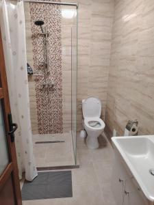 a bathroom with a shower with a toilet and a sink at Casa Alma in Paşcani +5 photos