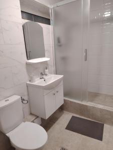 a bathroom with a toilet and a sink and a shower at Casa Alma in Paşcani