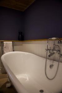 a bath tub with a shower in a bathroom at Badgers Bolt in Avington