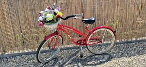 a red bike with a basket full of flowers at Casa TEOS in 2 Mai