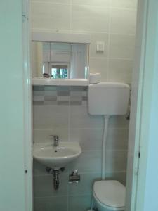 a bathroom with a sink and a toilet and a mirror at Apartments Branka in Ika +49 photos