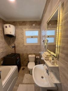 a bathroom with a sink and a toilet and a mirror at the LOFT - Elite Residence in Cairo +10 photos