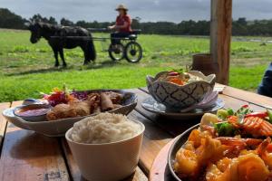 a table with plates of food and a horse in a field at Berry World in Timboon