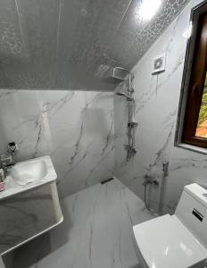 a white bathroom with a sink and a toilet at Yusubovs in Hacıkǝnd +8 photos