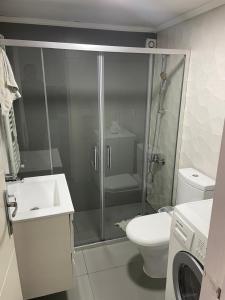 a bathroom with a shower with a toilet and a sink at Lesnasr chalet apartments in Al ‘Aqabah