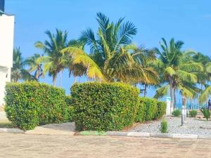 a row of hedges with palm trees in the background at Floyds Beach Resort & Spa in Nyanyanu
