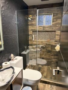 a bathroom with a shower and a toilet and a sink at Cabaña Lakshmi in El Pescador +35 photos