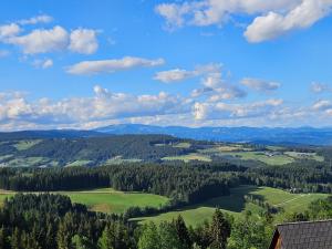 a view of a green valley with mountains and trees at Packerhöhe in Pack +2 photos
